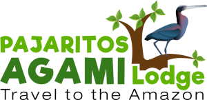 logotipo pajaritos lodge ok
